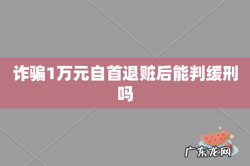 诈骗1万元自首退赃后能判缓刑吗