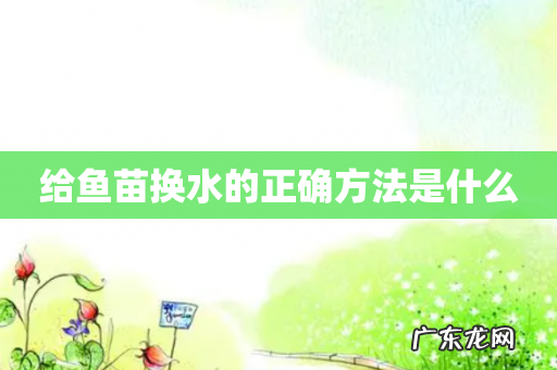 给鱼苗换水的正确方法是什么