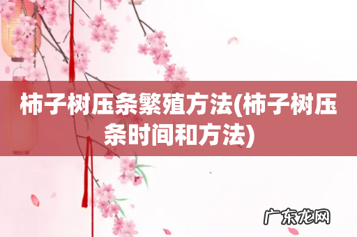 柿子树压条时间和方法 柿子树压条繁殖方法