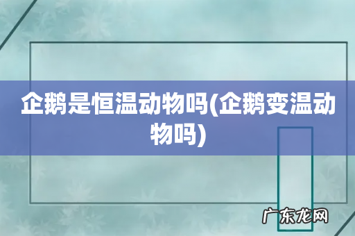 企鹅变温动物吗 企鹅是恒温动物吗