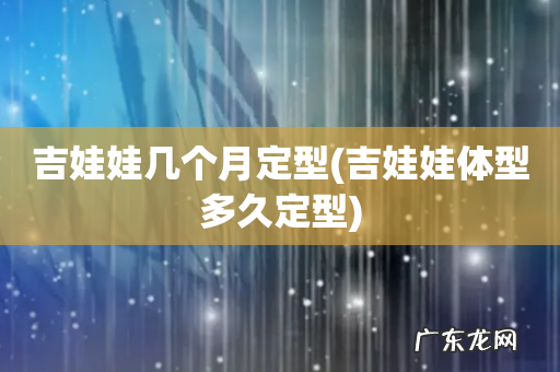 吉娃娃体型多久定型 吉娃娃几个月定型