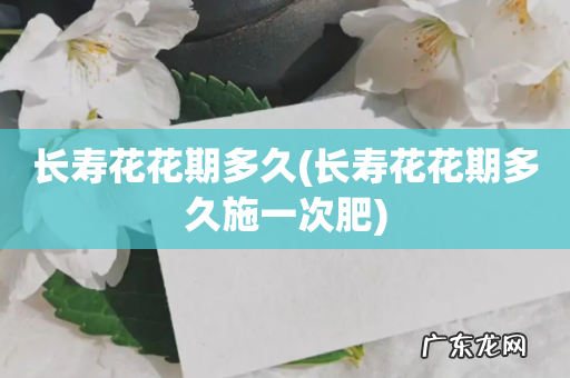 长寿花花期多久施一次肥 长寿花花期多久