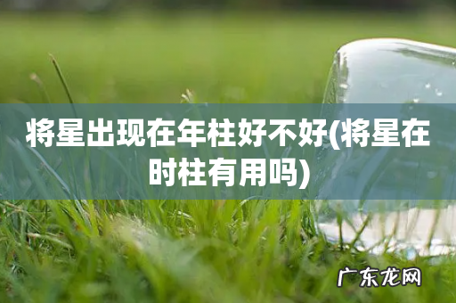 将星在时柱有用吗 将星出现在年柱好不好