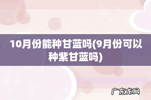 9月份可以种紫甘蓝吗 10月份能种甘蓝吗