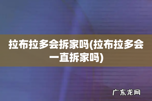 拉布拉多会一直拆家吗 拉布拉多会拆家吗