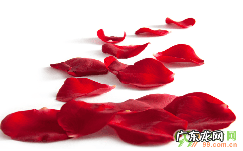 花斑癣怎样治疗 花斑癣好的治疗方法