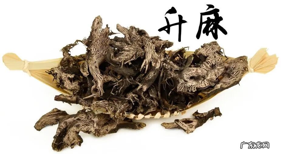 玄参的作用和功效百度百科 玄参的作用和功效用量