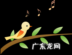 玄参的作用和功效百度百科 玄参的作用和功效用量