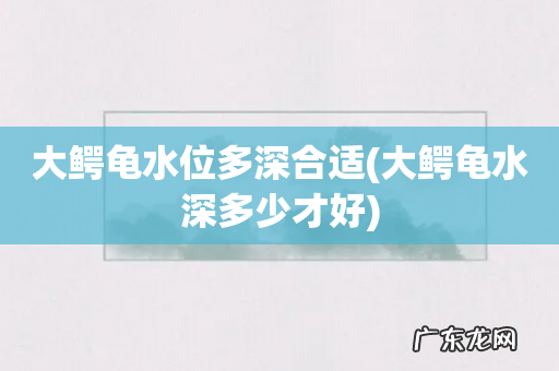 大鳄龟水深多少才好 大鳄龟水位多深合适