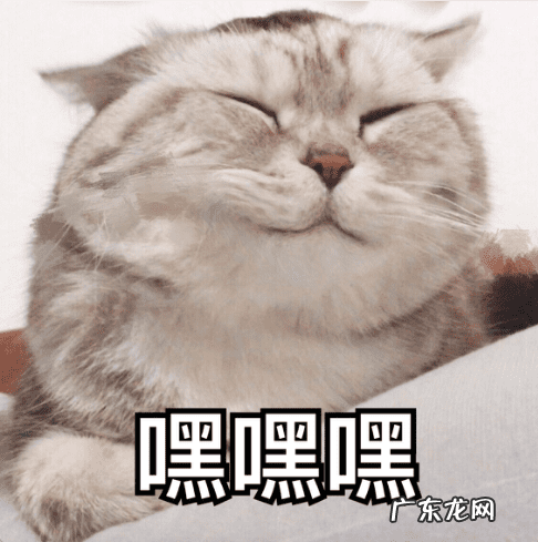 风水猫是什么意思 猫在风水上有何寓意