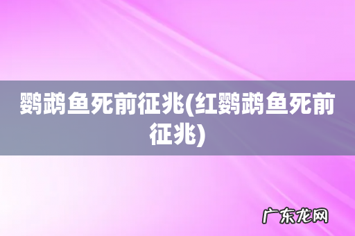 红鹦鹉鱼死前征兆 鹦鹉鱼死前征兆