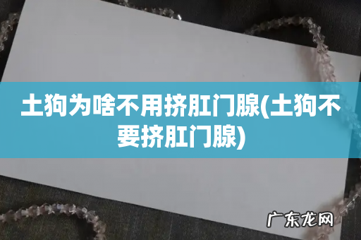 土狗不要挤肛门腺 土狗为啥不用挤肛门腺