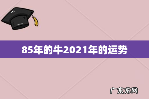 85年的牛2021年的运势