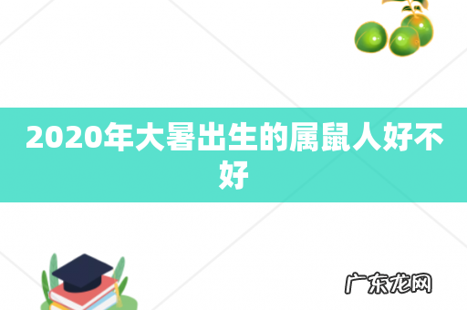 2020年大暑出生的属鼠人好不好