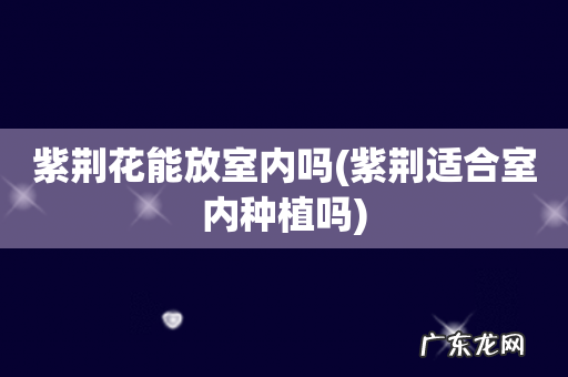 紫荆适合室内种植吗 紫荆花能放室内吗