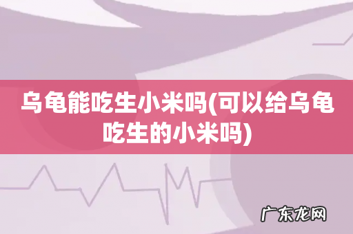 可以给乌龟吃生的小米吗 乌龟能吃生小米吗