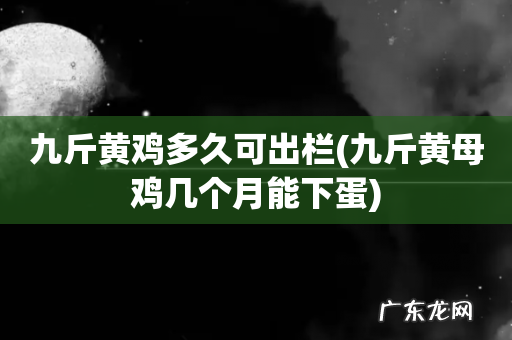 九斤黄母鸡几个月能下蛋 九斤黄鸡多久可出栏