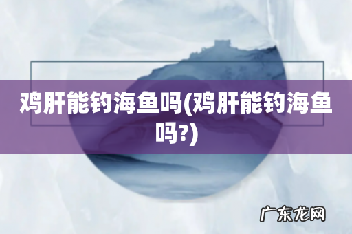 鸡肝能钓海鱼吗? 鸡肝能钓海鱼吗