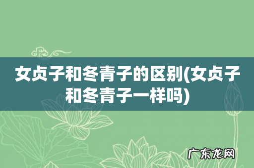 女贞子和冬青子一样吗 女贞子和冬青子的区别