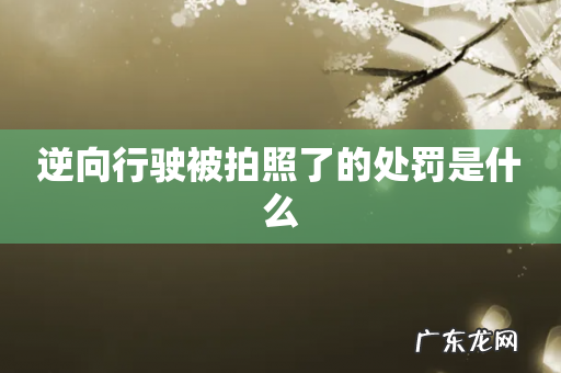 逆向行驶被拍照了的处罚是什么