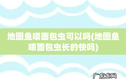 地图鱼喂面包虫长的快吗 地图鱼喂面包虫可以吗