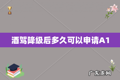 酒驾降级后多久可以申请A1