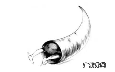 车轴木是什么木头 木车轴是什么木头