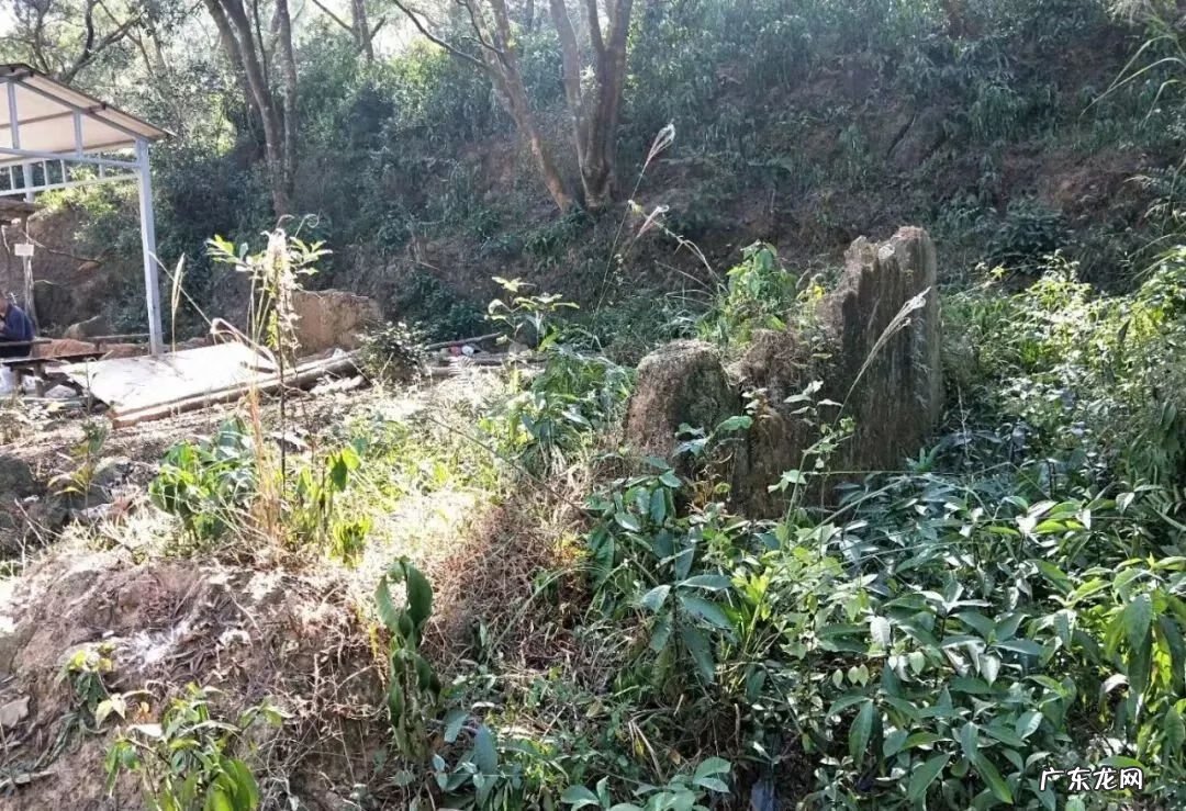 莆田华亭有什么好玩的地方吗