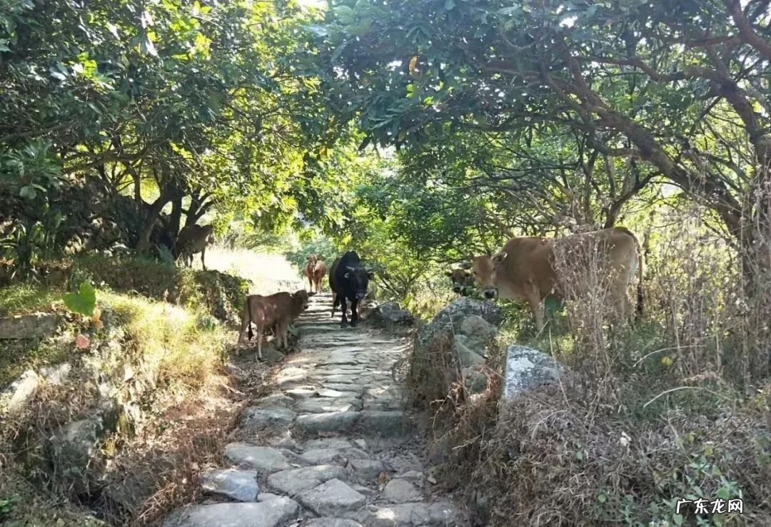 莆田华亭有什么好玩的地方吗