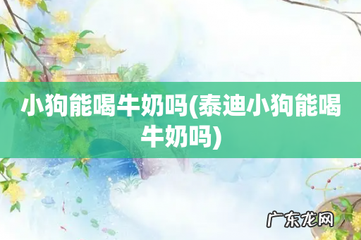 泰迪小狗能喝牛奶吗 小狗能喝牛奶吗