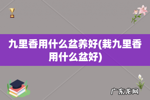 栽九里香用什么盆好 九里香用什么盆养好