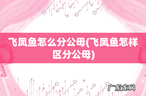 飞凤鱼怎样区分公母 飞凤鱼怎么分公母