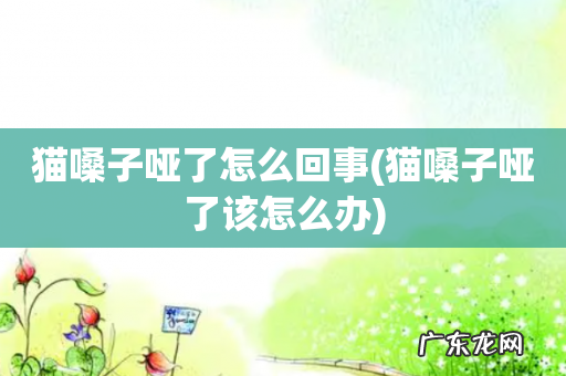 猫嗓子哑了该怎么办 猫嗓子哑了怎么回事