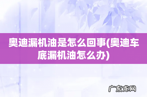 奥迪车底漏机油怎么办 奥迪漏机油是怎么回事