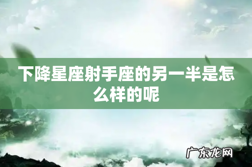 下降星座射手座的另一半是怎么样的呢