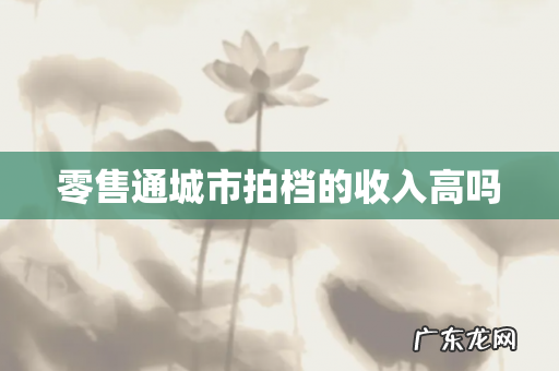 零售通城市拍档的收入高吗