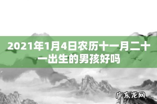 2021年1月4日农历十一月二十一出生的男孩好吗