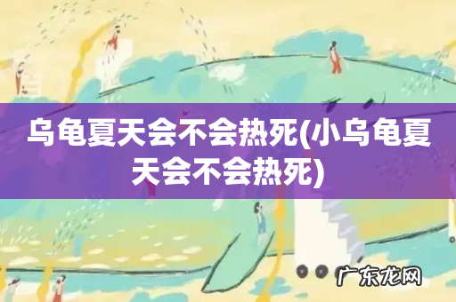 小乌龟夏天会不会热死 乌龟夏天会不会热死