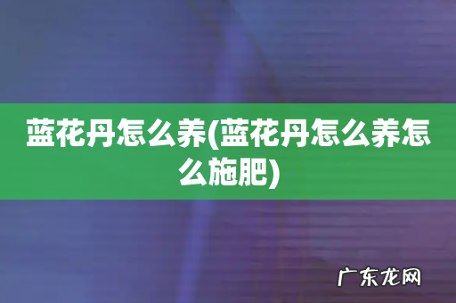 蓝花丹怎么养怎么施肥 蓝花丹怎么养