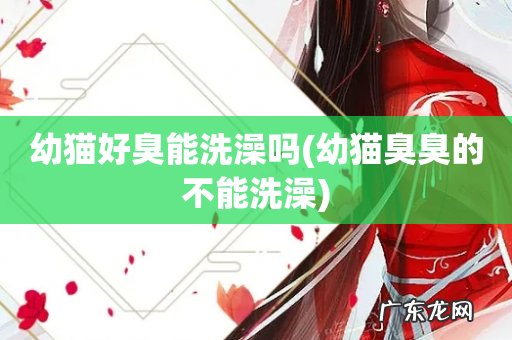 幼猫臭臭的不能洗澡 幼猫好臭能洗澡吗
