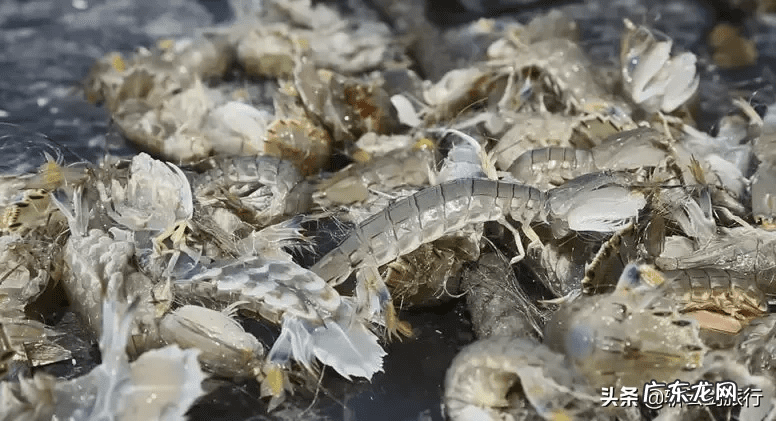 黄岛区风水最好的地方 石岛最有名的风水