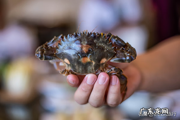 黄岛区风水最好的地方 石岛最有名的风水