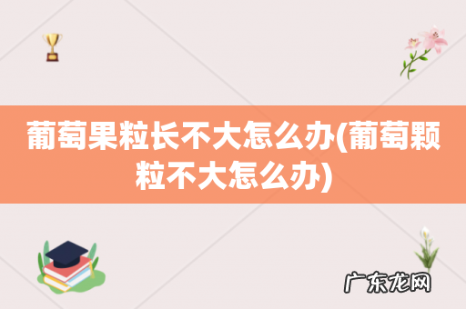 葡萄颗粒不大怎么办 葡萄果粒长不大怎么办