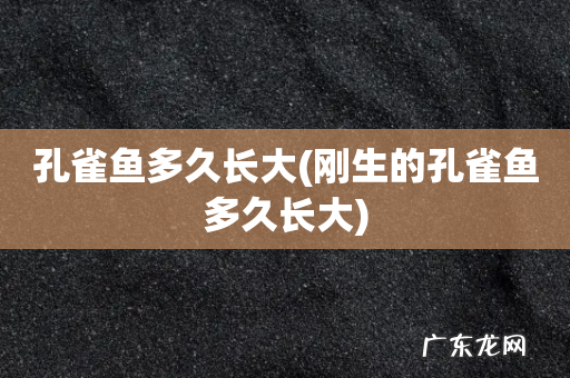 刚生的孔雀鱼多久长大 孔雀鱼多久长大