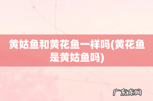 黄花鱼是黄姑鱼吗 黄姑鱼和黄花鱼一样吗
