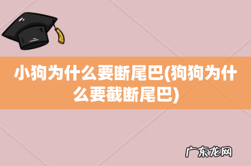 狗狗为什么要截断尾巴 小狗为什么要断尾巴