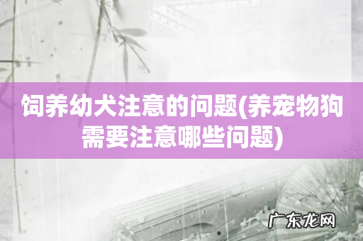 养宠物狗需要注意哪些问题 饲养幼犬注意的问题