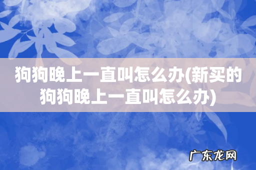 新买的狗狗晚上一直叫怎么办 狗狗晚上一直叫怎么办