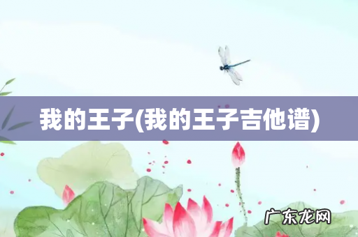 我的王子吉他谱 我的王子