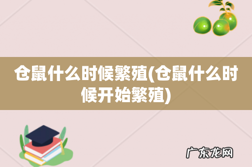 仓鼠什么时候开始繁殖 仓鼠什么时候繁殖